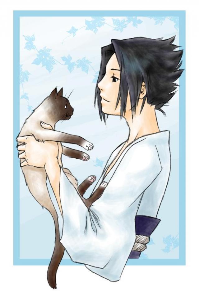 Sasuke and his nin cat